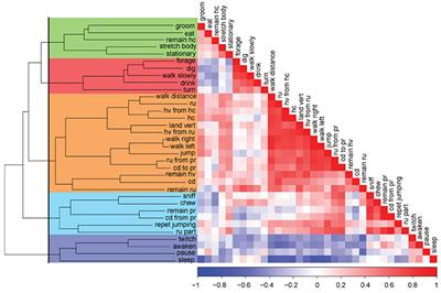 Exhaustive Multi-Parametric Assessment of the Behavioral Array of Daily Activities of Mice Using Cluster and Factor Analysis